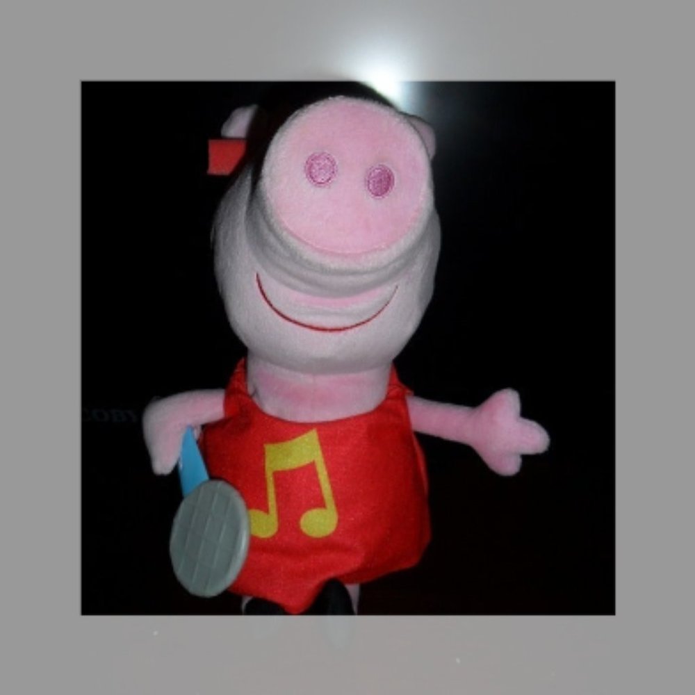 💰💰-Pig Talking Plush